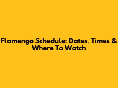 Flamengo Schedule: Dates, Times & Where To Watch