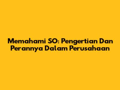 Memahami SO: Pengertian Dan Perannya Dalam Perusahaan